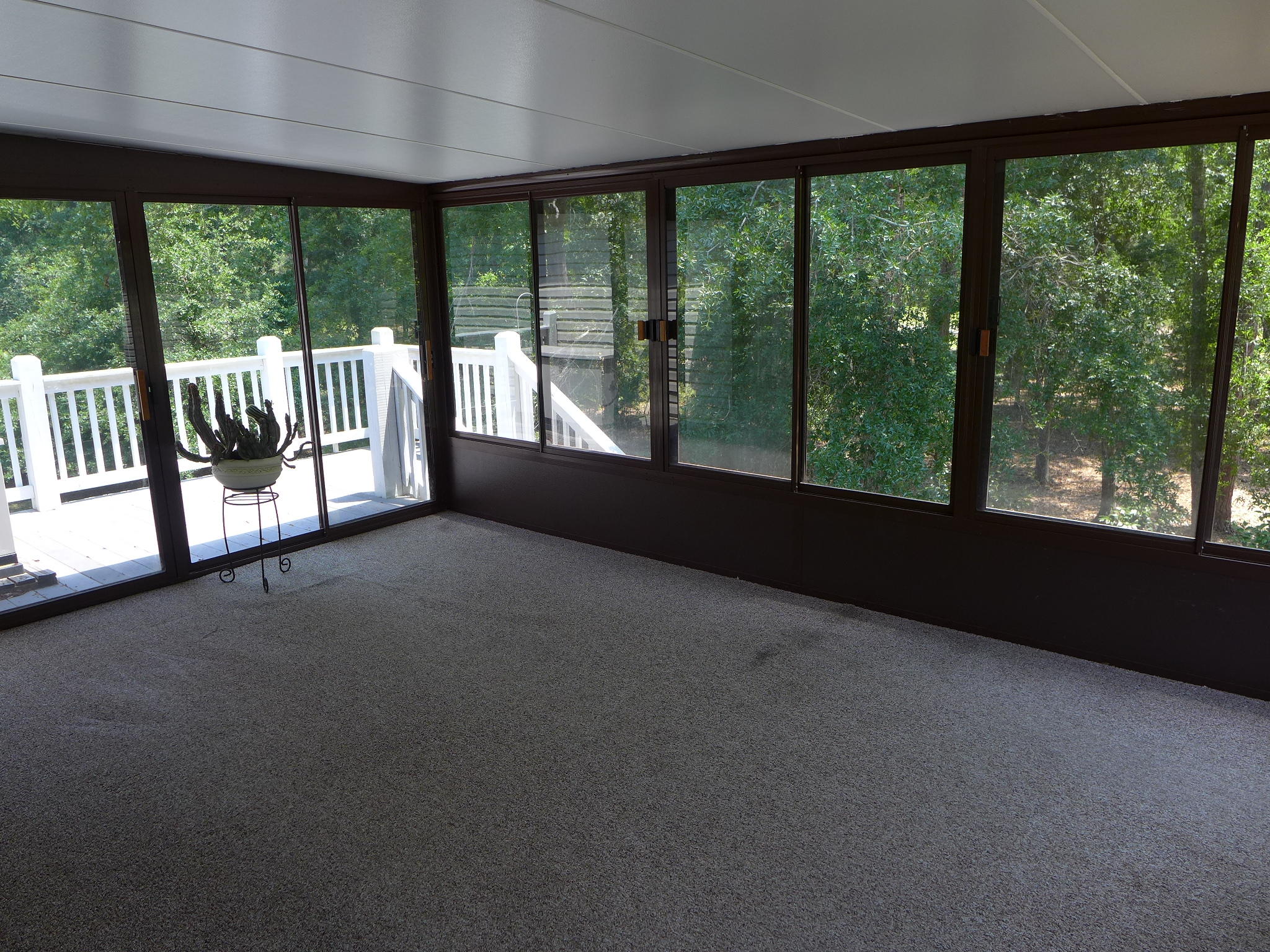 8682 Palmetto Road Edisto Island, SC 29438 - Photo 26 of 39 P1040647