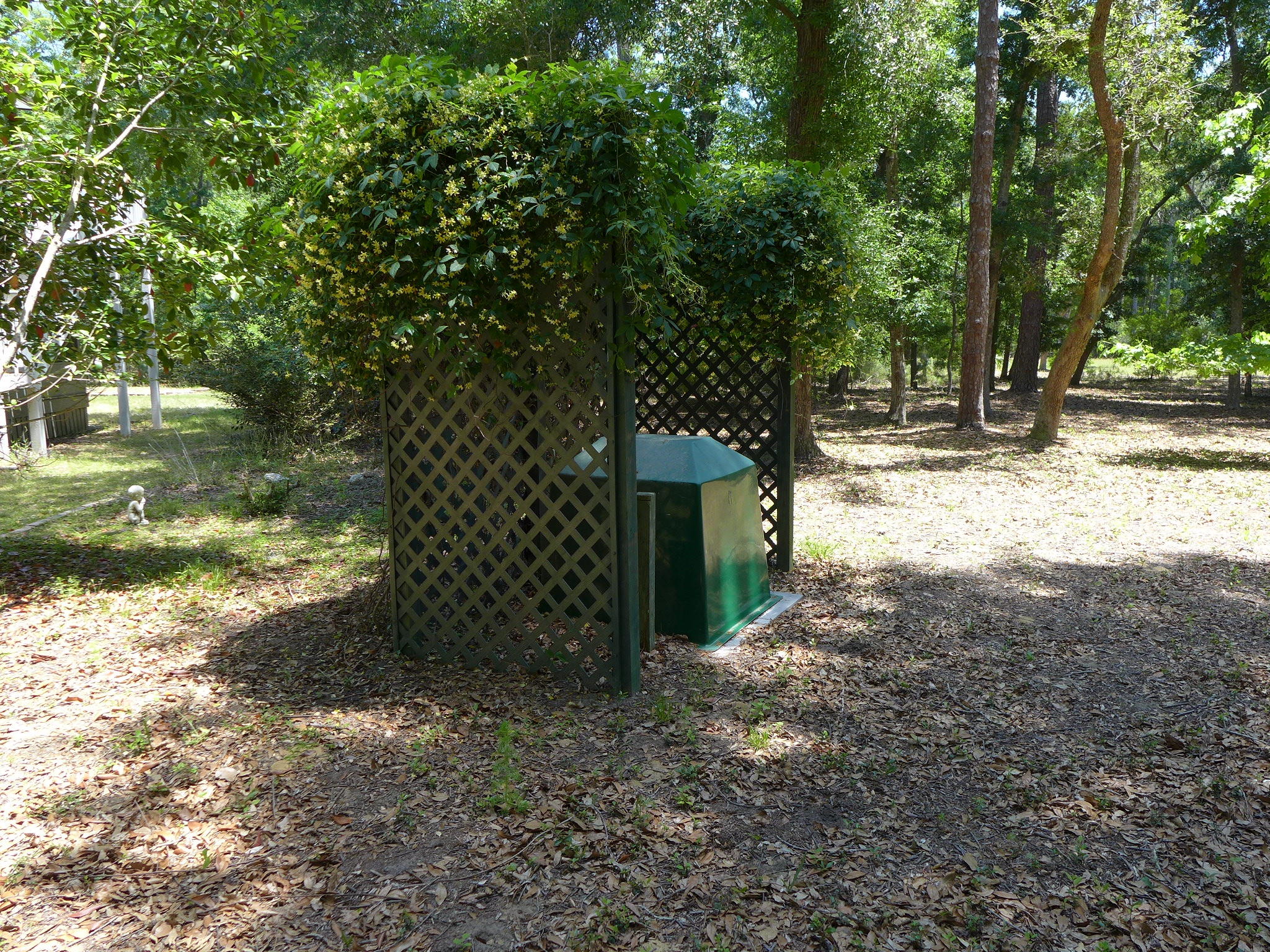 8682 Palmetto Road Edisto Island, SC 29438 - Photo 29 of 39 P1040630