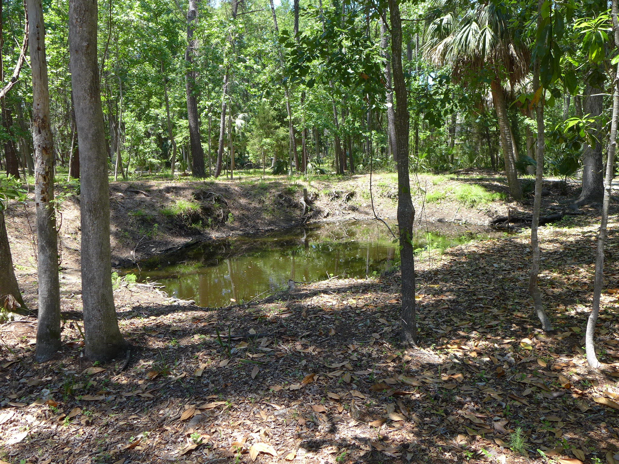 8682 Palmetto Road Edisto Island, SC 29438 - Photo 32 of 39 P1040633