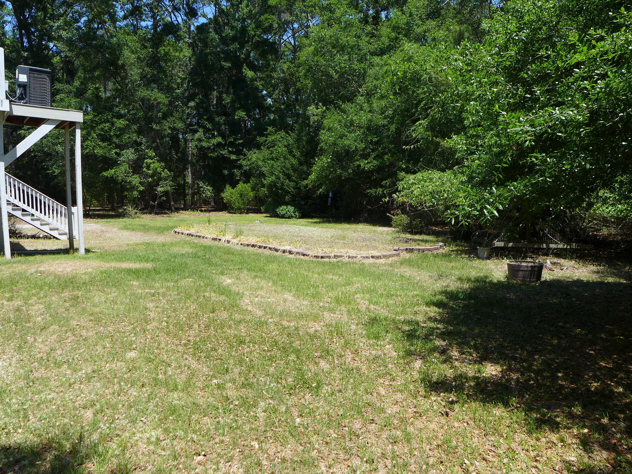 8682 Palmetto Road Edisto Island, SC 29438 - Photo 34 of 39 P1040636