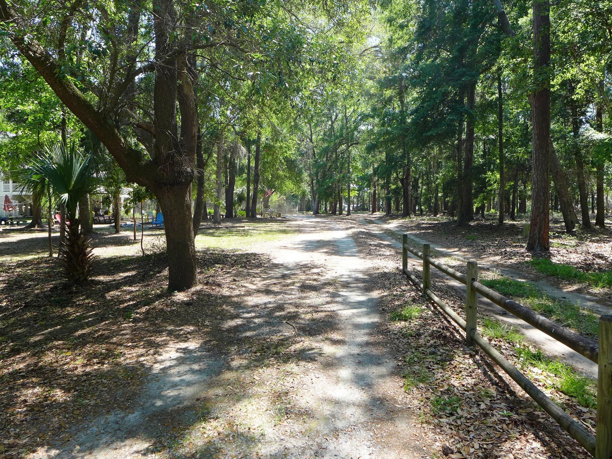 8682 Palmetto Road Edisto Island, SC 29438 - Photo 35 of 39 P1040678