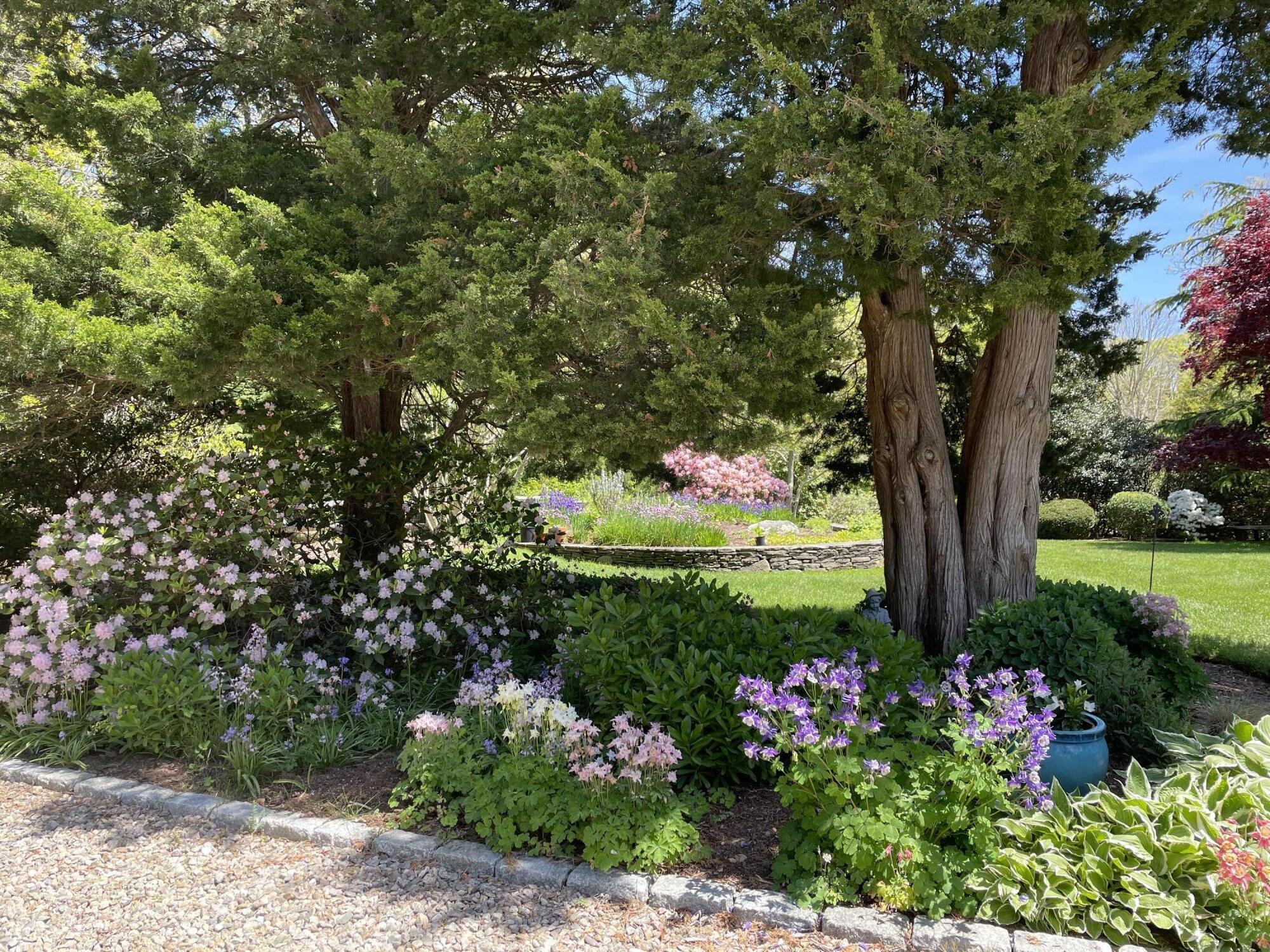 29 Jack Knife Point Road Orleans, MA 02653 - Photo 22 of 96 IMG_0714