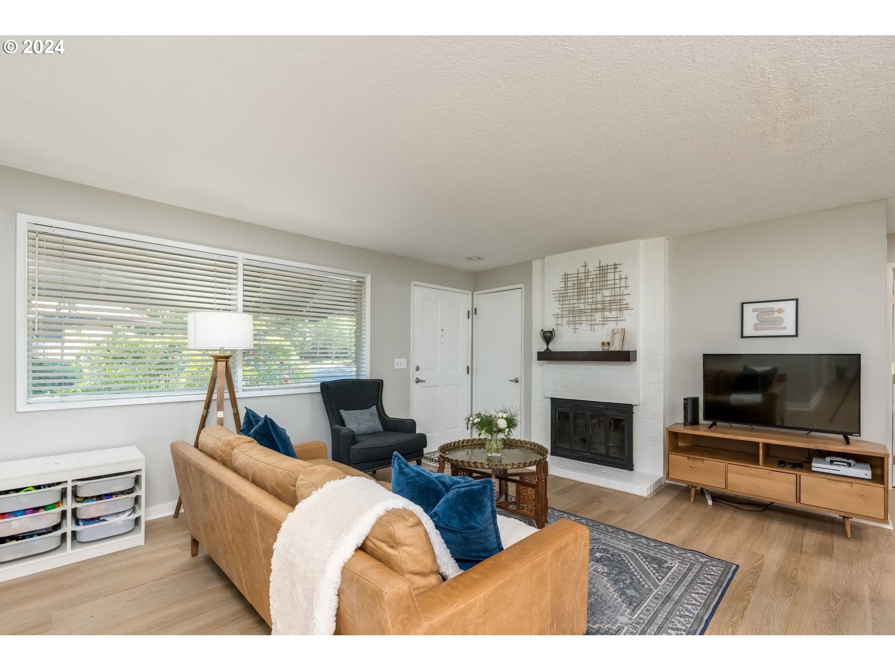 Living Room/Entrance