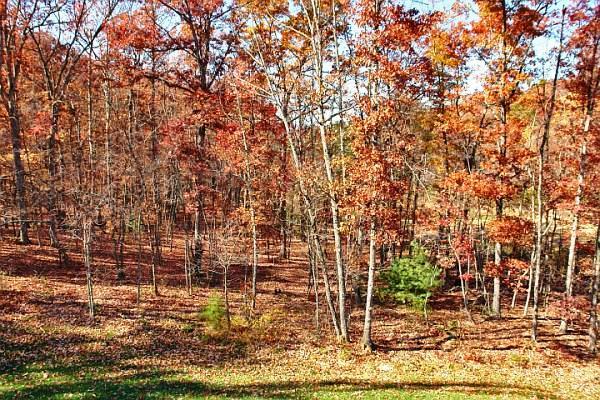 5444 Woodchuck Road Roanoke, VA 24018 - Photo 13 of 71 View from Deck