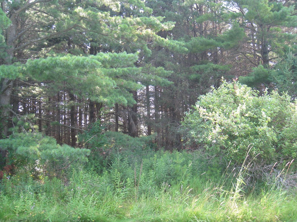 Lot 4 Hainesville Road Sturgeon Bay, WI 54235 - Photo 2 of 4