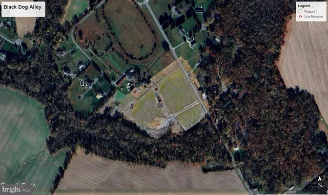 $250,000 | Black Dog Alley, Easton, MD 21601