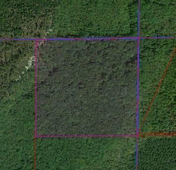 0 County Road 512 Henagar, AL 35978 - Photo 1 of 1