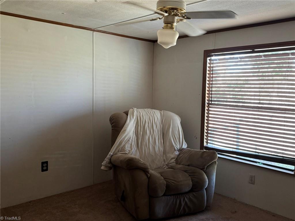 2023 Benaja Road Reidsville, NC 27320 - Photo 21 of 36 Bedroom Three with Ceiling Fan and Window at 2023 Benaja Road, Reidsville, NC 27320, Rockingham County. Third bedroom with carpeted flooring and ceiling fan with light. Large window with blinds provides natural light. Spacious layout for a full bedroom set.