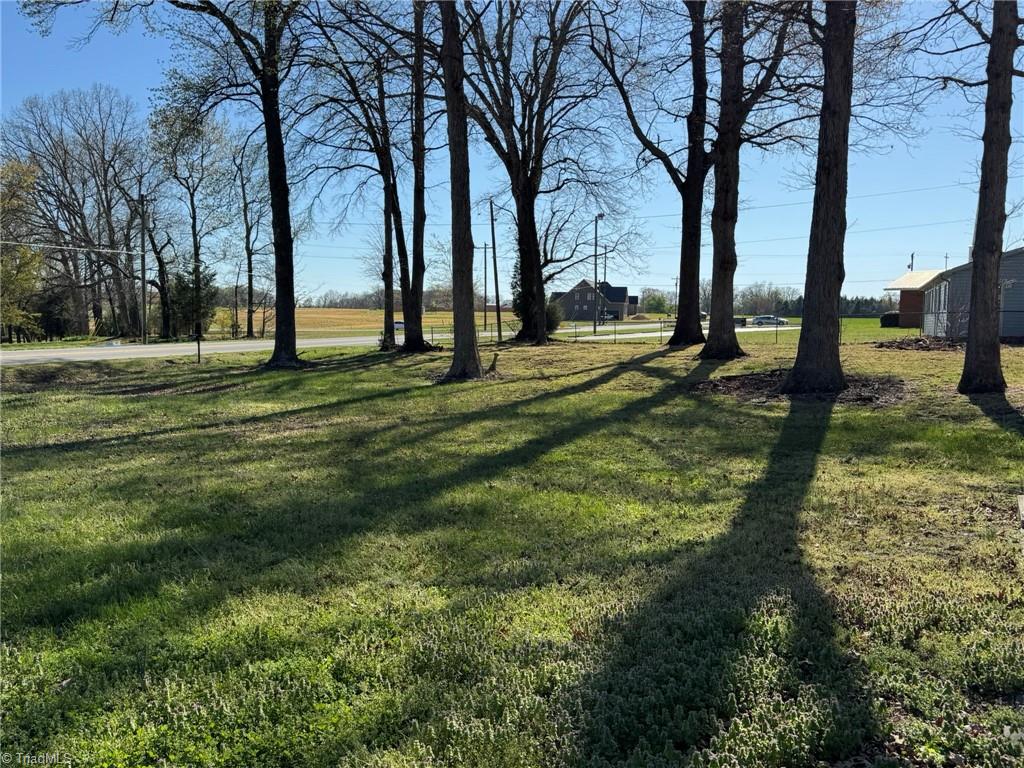 2023 Benaja Road Reidsville, NC 27320 - Photo 6 of 36 Side Yard with Mature Hardwood Trees and Road Frontage at 2023 Benaja Road, Reidsville, NC 27320, Rockingham County. Side yard view featuring tall mature hardwood trees casting shadows across the lawn. Road frontage visible with rural views and open farmland in the distance.