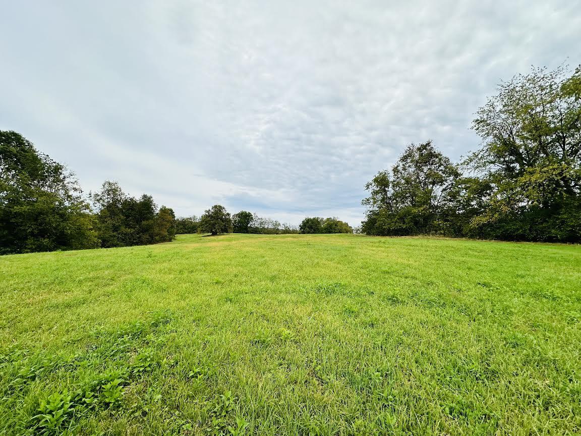 1045 Shields Road Sharpsburg, KY 40374 - Photo 7 of 46 land