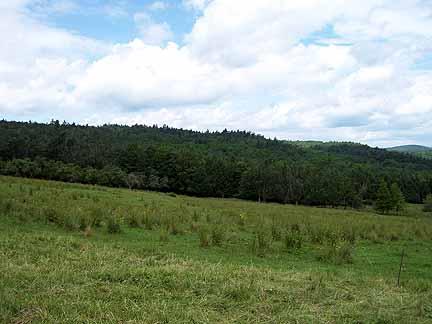1180 Hawley Road Ashfield, MA 01330 - Photo 26 of 26 a view of grassy field with trees