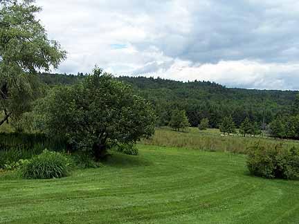 1180 Hawley Road Ashfield, MA 01330 - Photo 6 of 26 a view of a grassy field with trees