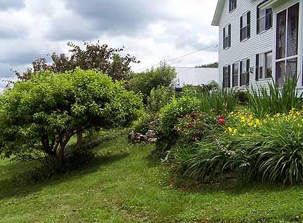 1180 Hawley Road Ashfield, MA 01330 - Photo 9 of 26 a view of a garden with a building in the background
