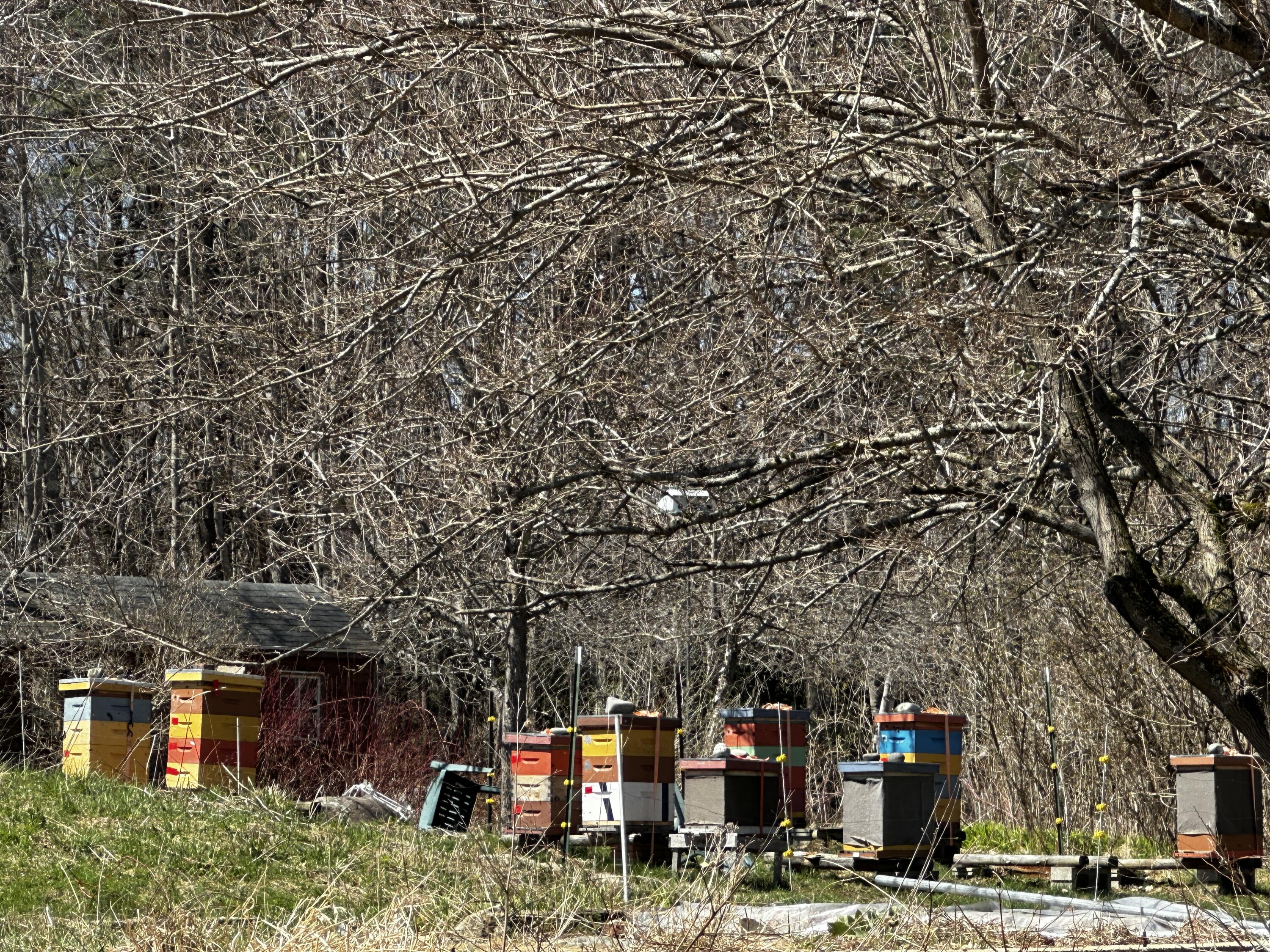 119 Lizotte Road Lebanon, ME 04027 - Photo 82 of 85 81