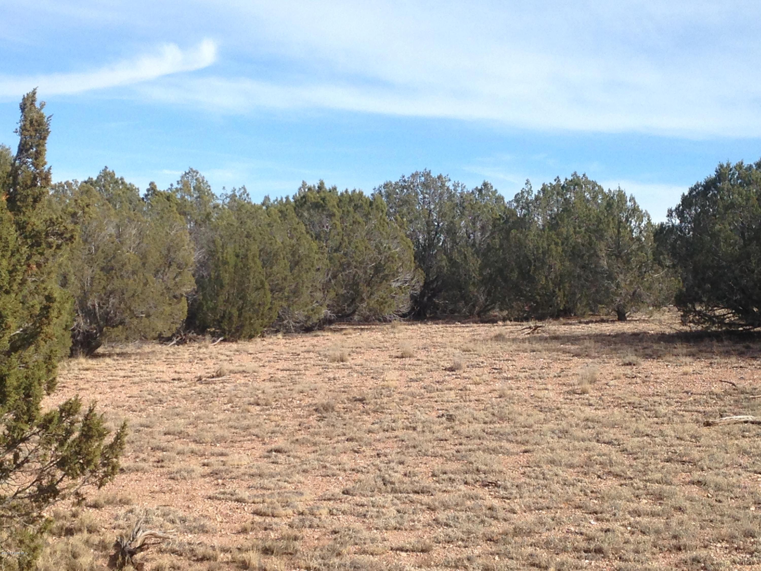 67 Arizona Road Ash Fork, AZ 86320 - Photo 2 of 5 IMG_3182