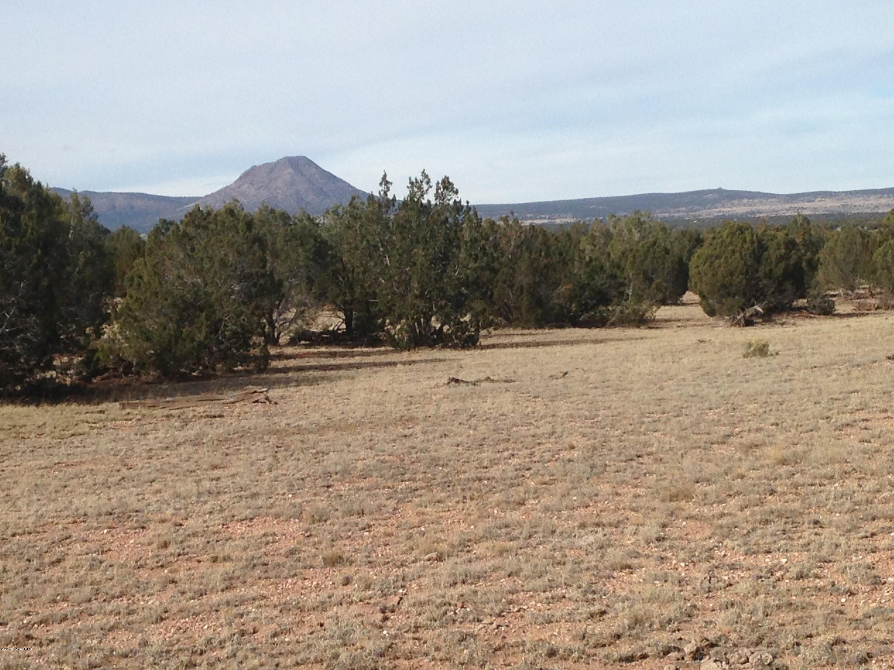 67 Arizona Road Ash Fork, AZ 86320 - Photo 3 of 5 IMG_3181