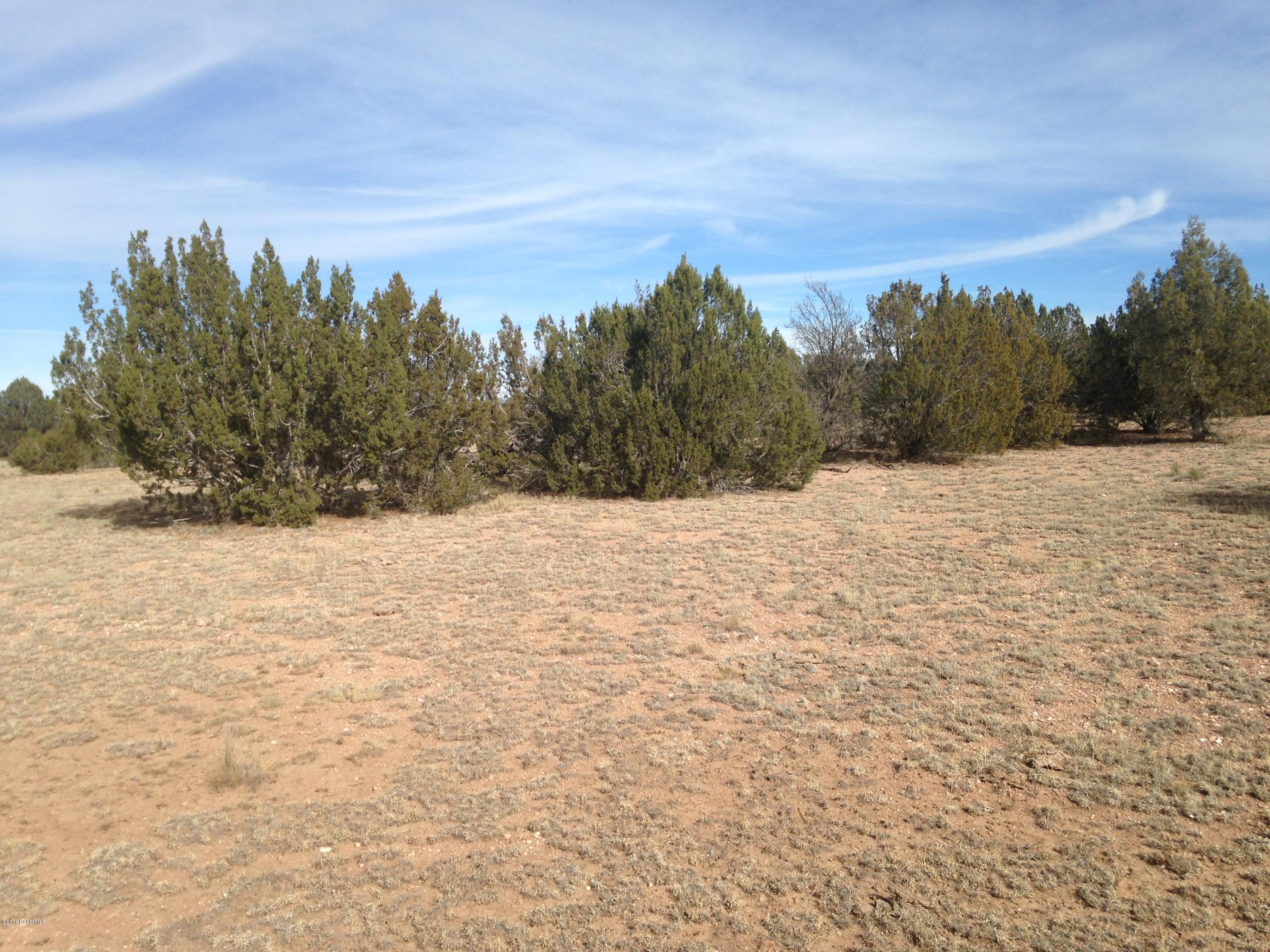 67 Arizona Road Ash Fork, AZ 86320 - Photo 4 of 5 IMG_3179