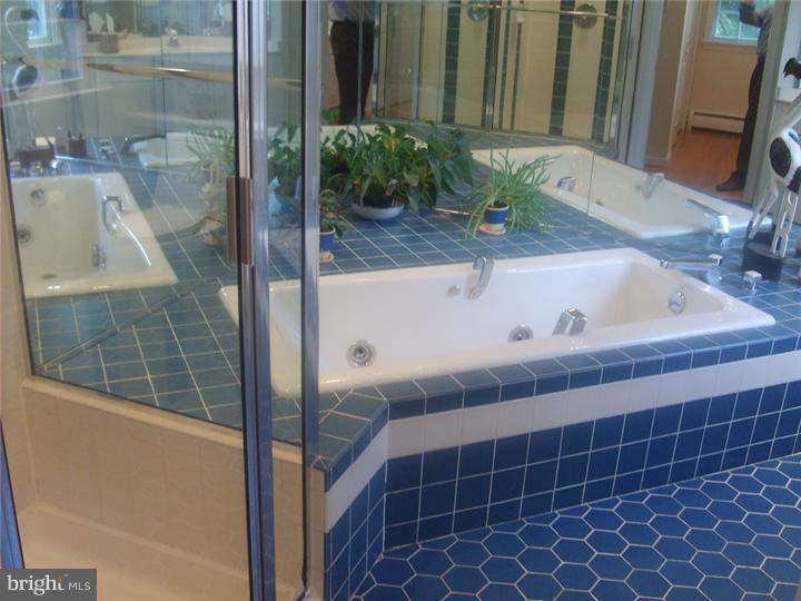 173 Ladderback Lane Devon, PA 19333 - Photo 23 of 25 Master Bathroom