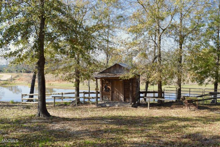 38 Joshua Road McHenry, MS 39561 - Photo 4 of 16 20171208025329201697000000-o-2