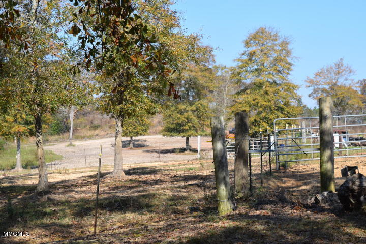 38 Joshua Road McHenry, MS 39561 - Photo 6 of 16 20171208025727381865000000-o-2
