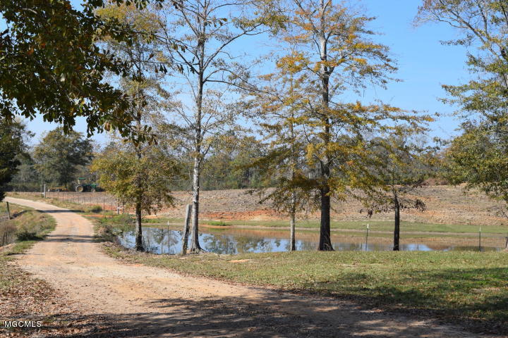 38 Joshua Road McHenry, MS 39561 - Photo 8 of 16 20171208030009727817000000-o-2