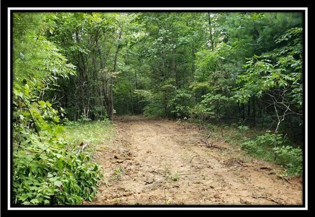 0 Pedigo Ridge Road, Unit TRACT 3) New Marshfield, OH 45766 - Photo 28 of 39 image027