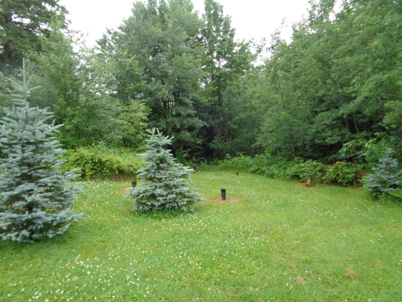 14212 Price County Road Tripoli, WI 54564 - Photo 13 of 27 Gallery Image 13