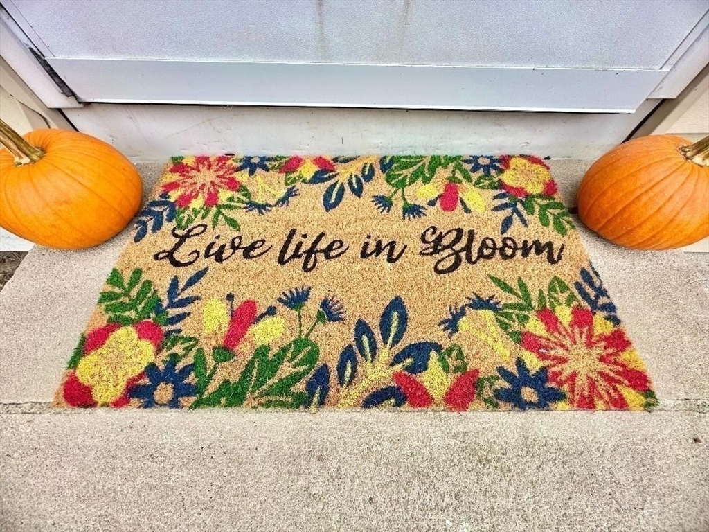 14 Pleasant Park Road Winthrop, MA 02152 - Photo 40 of 41