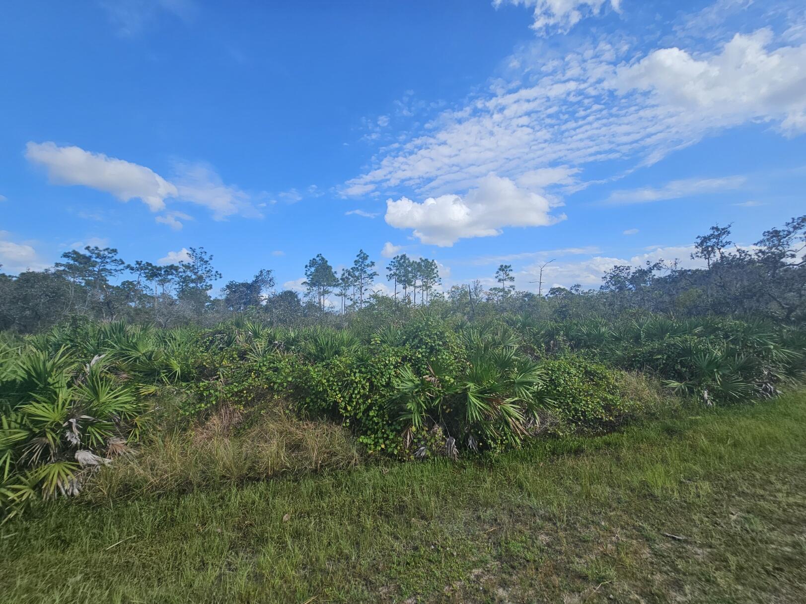 680 Pine Avenue LaBelle, FL 33935 - Photo 4 of 8 20241012_154137