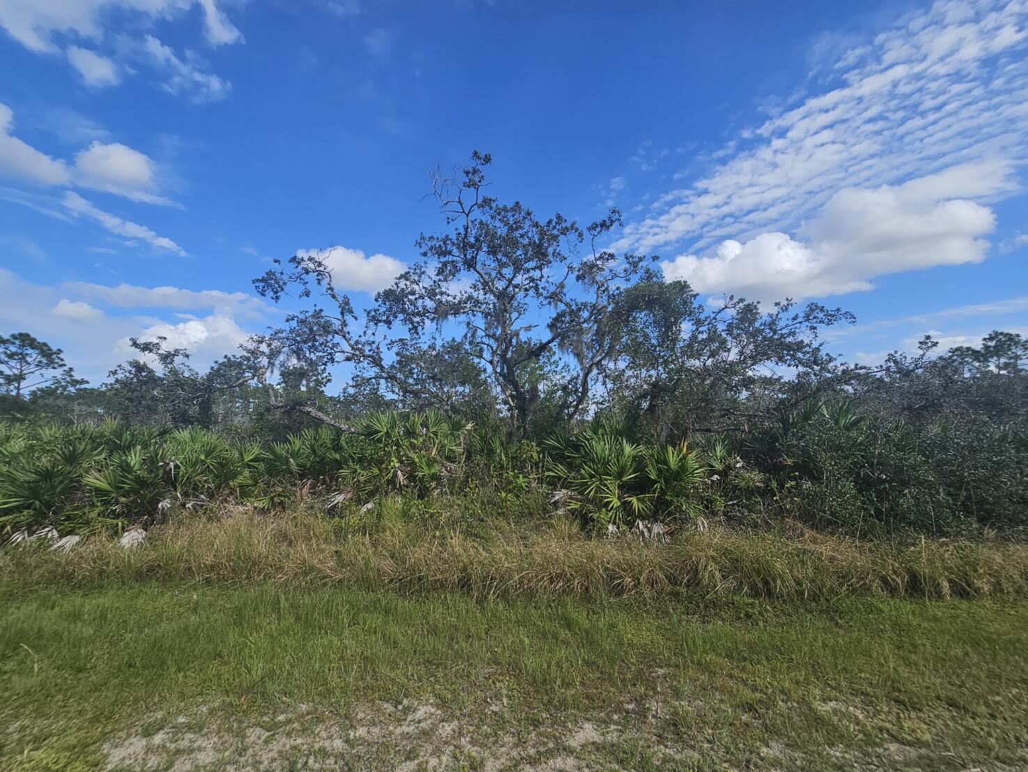 680 Pine Avenue LaBelle, FL 33935 - Photo 5 of 8 20241012_154220