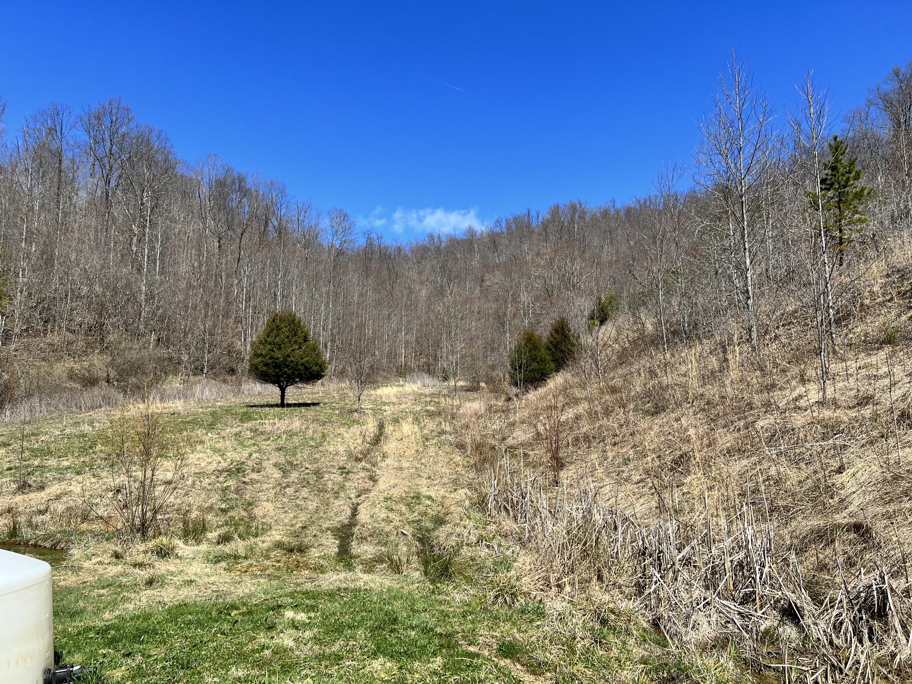2229 Buckeye Branch Road Flat Lick, KY 40935 - Photo 86 of 101 D997E1EF-80D5-4A8D-BFD9-09AD7EE7D78D