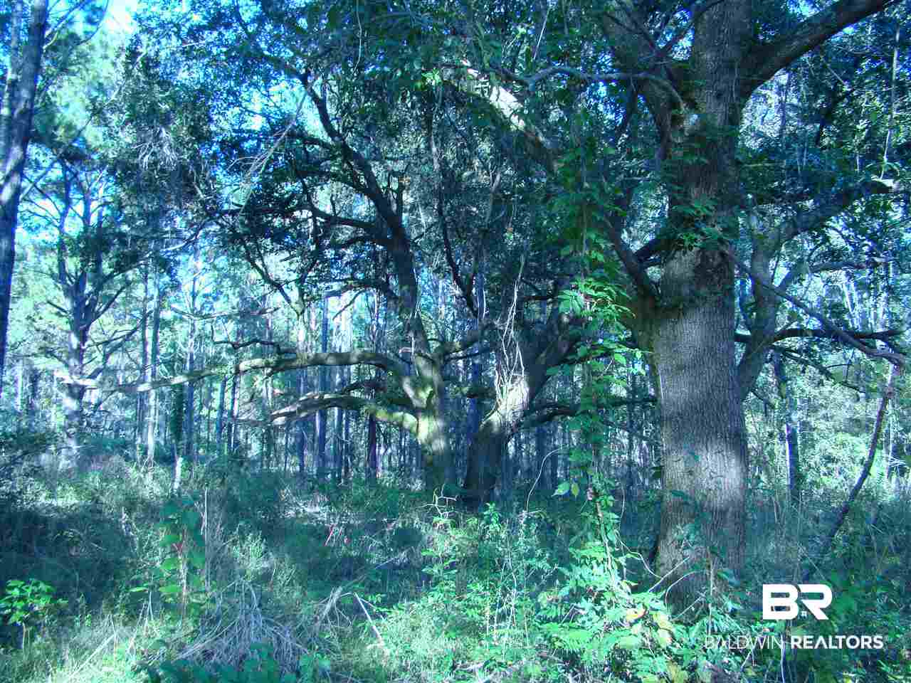 0 Lilly Wilson Lane Bay Minette, AL 36507 - Photo 2 of 9
