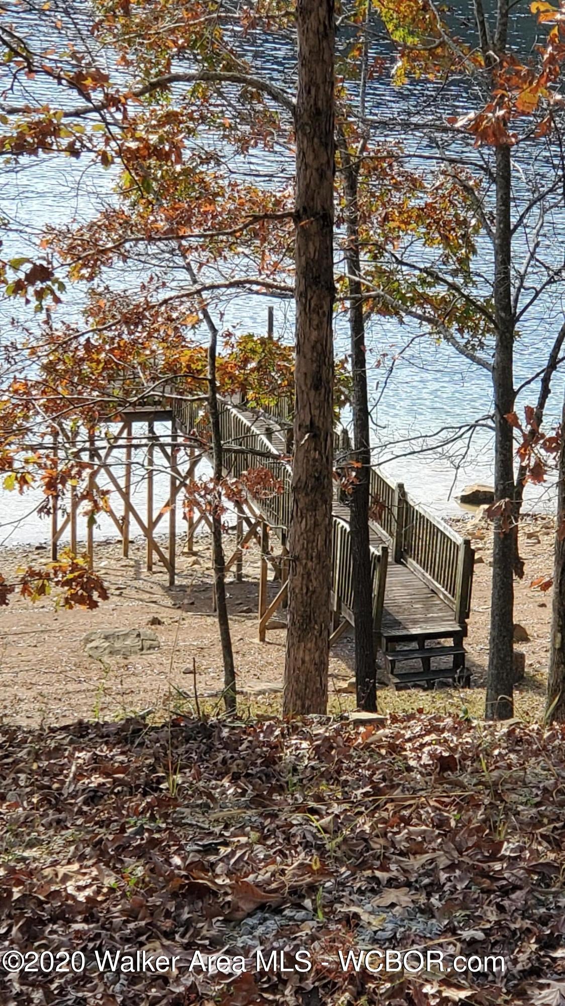 106 County Road Logan, AL 35098 - Photo 4 of 4 Gallery Image 4
