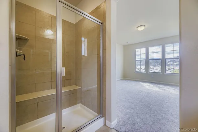 a bathroom with a shower and a sink