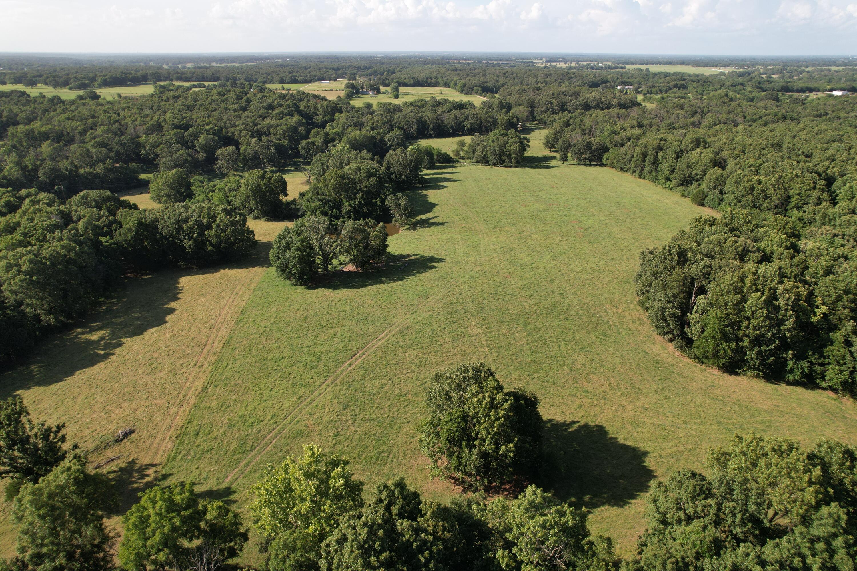 6731 Raccoon Road Pierce City, MO 65723 - Photo 24 of 99 DJI_0315