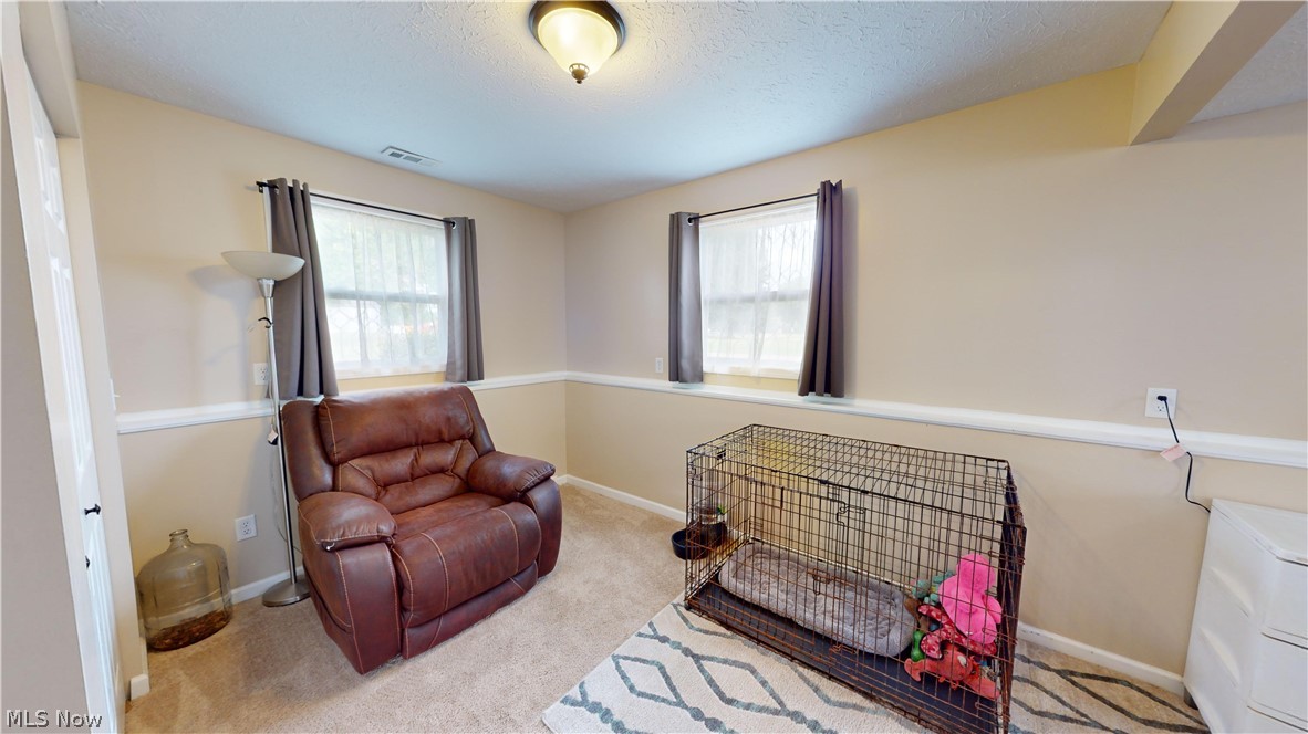 3805 Townline Road Madison, OH 44057 - Photo 25 of 38 Sitting room featuring carpet, a wealth of natural light, and a textured ceiling