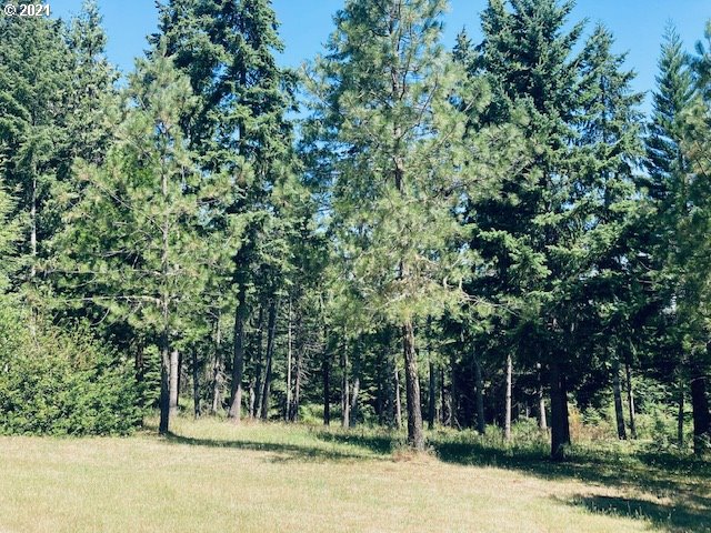 30119 Overholser Road Cottage Grove, OR 97424 - Photo 29 of 31 Gallery Image 29