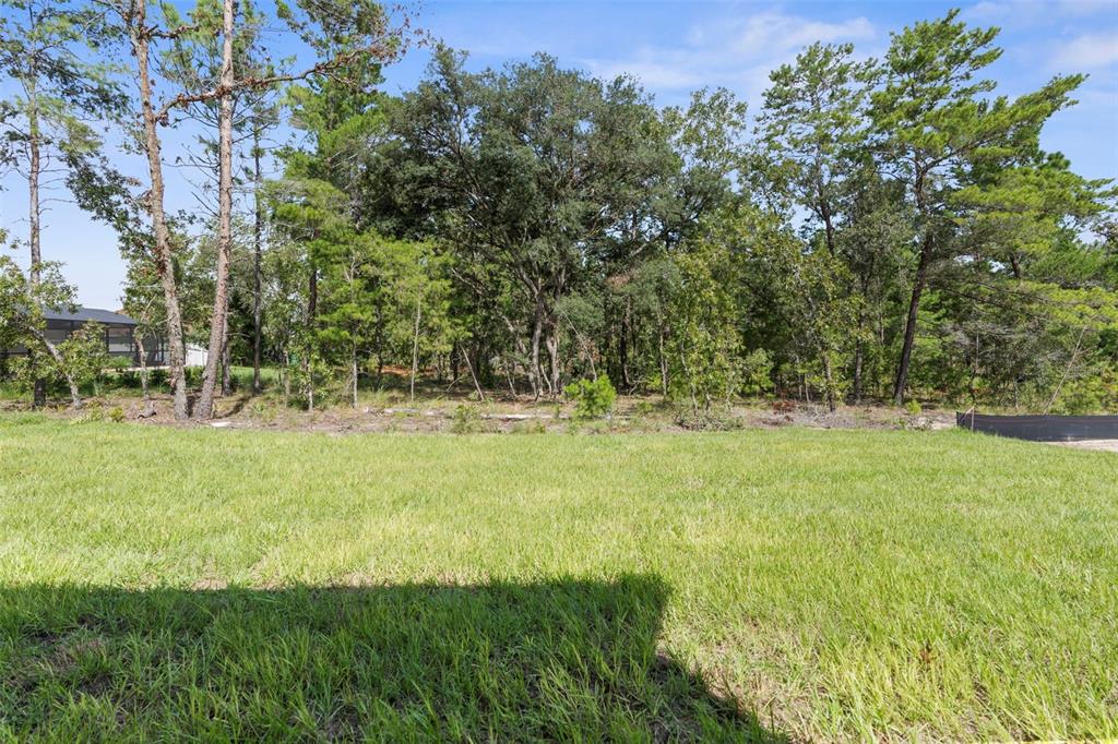 3 Lupine Street Homosassa, FL 34446 - Photo 34 of 44 a view of outdoor space with trees all around