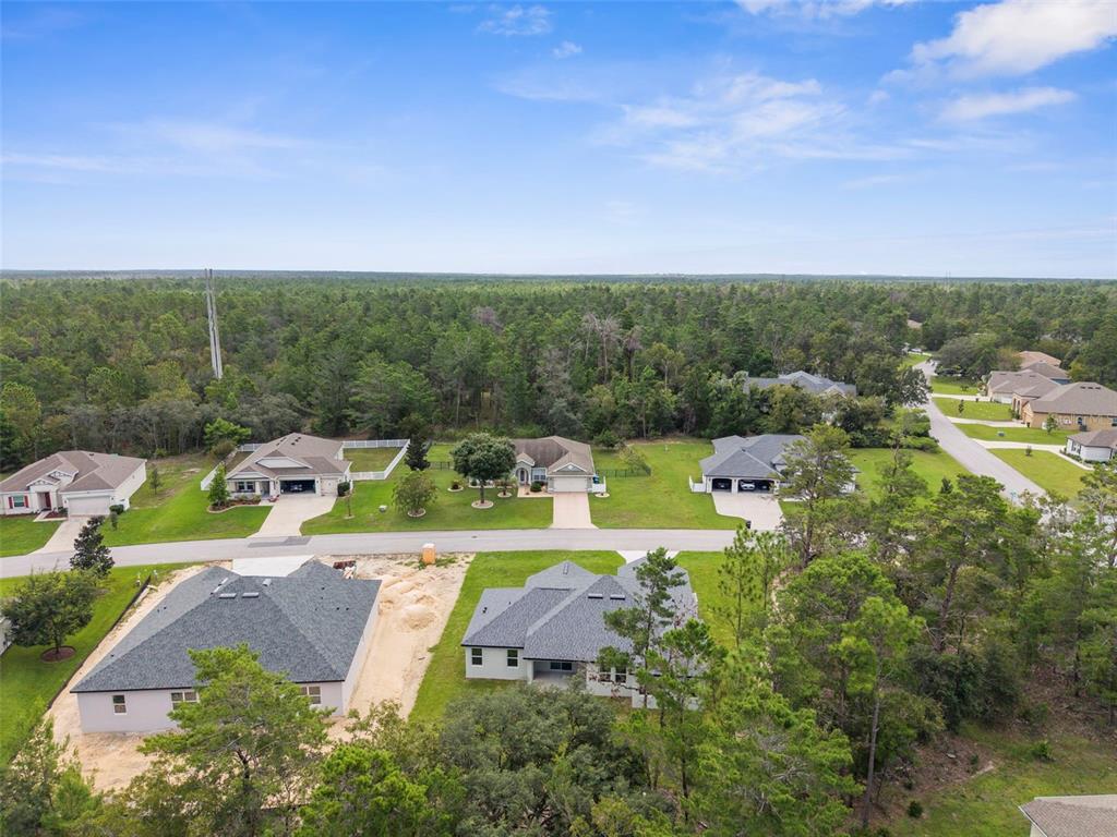 3 Lupine Street Homosassa, FL 34446 - Photo 40 of 44 a view of a swimming pool with lawn chairs and plants