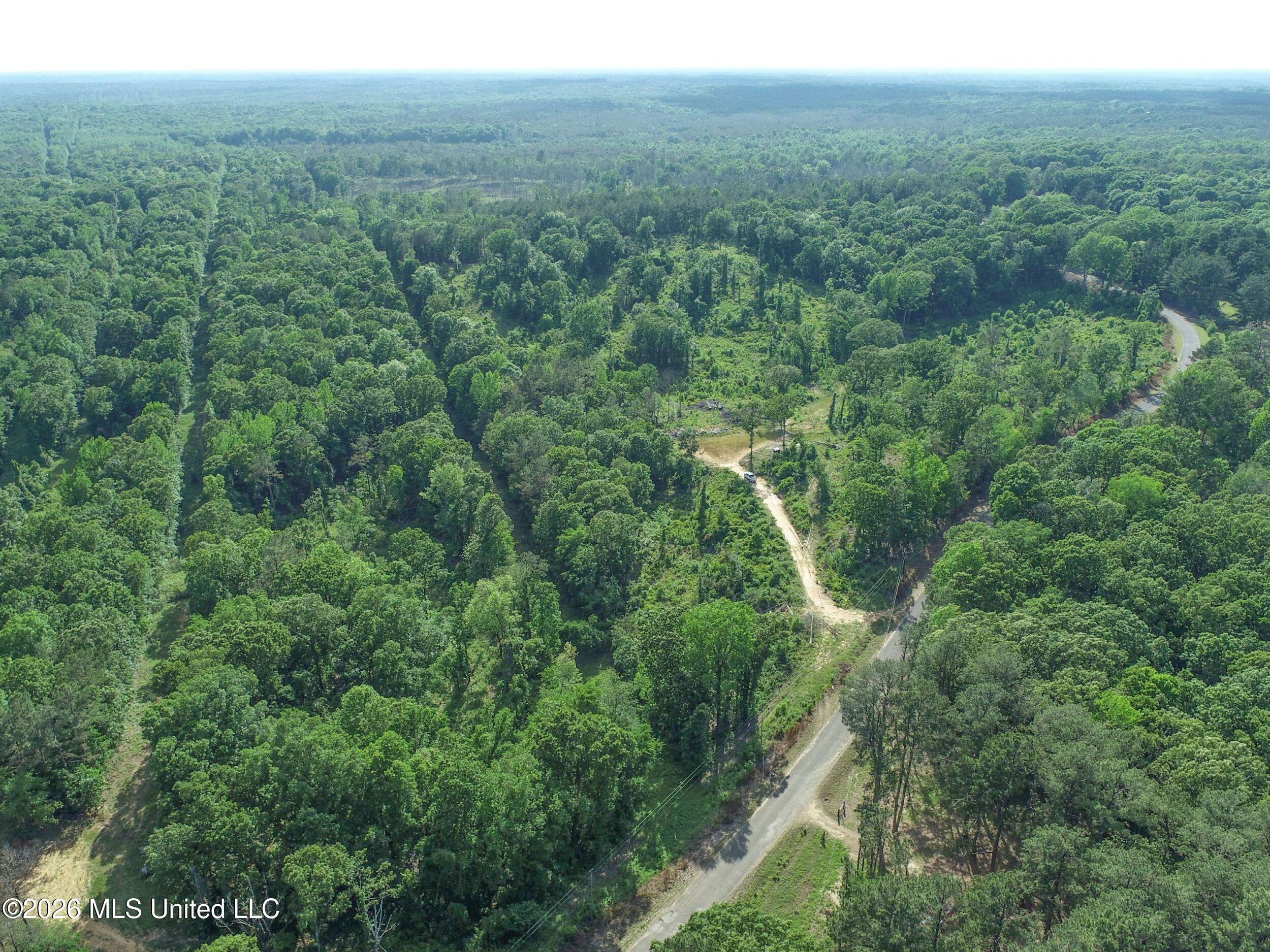 Wayne Massie Road Como, MS 38619 - Photo 46 of 184 3ctwmrd31