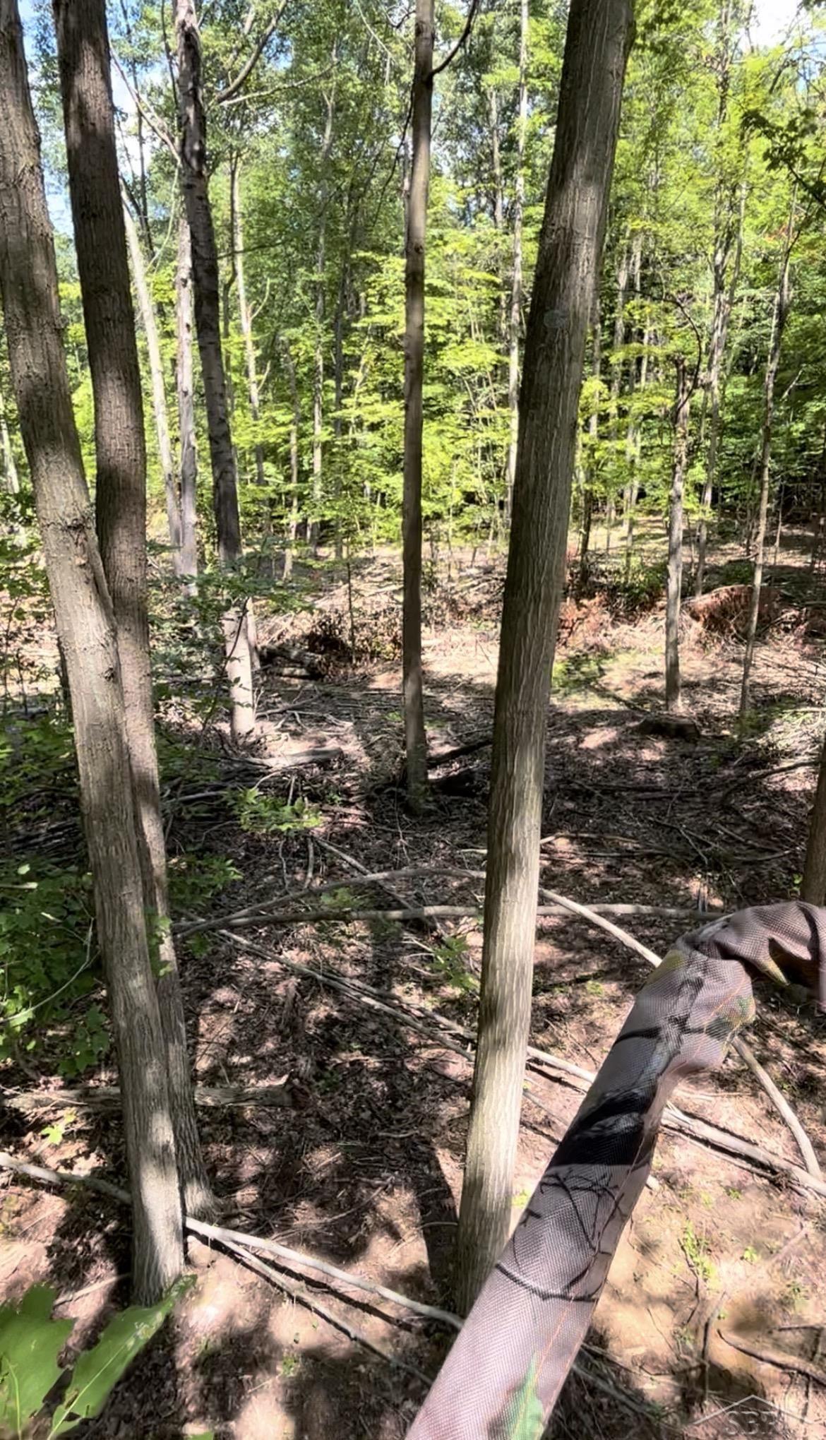 0 Lange Road Bridgeport, MI 48722 - Photo 8 of 11