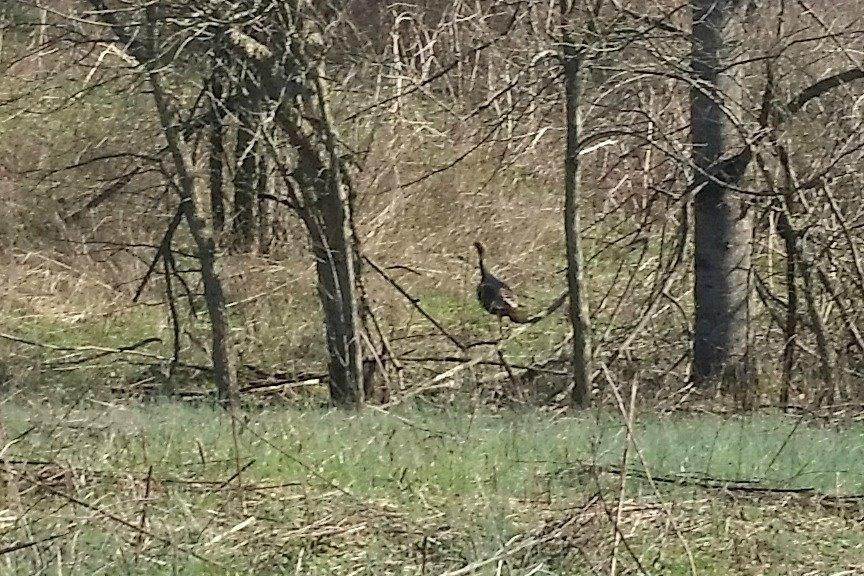 6915 Four Mile Road Winchester, KY 40391 - Photo 9 of 22 Photo 9
