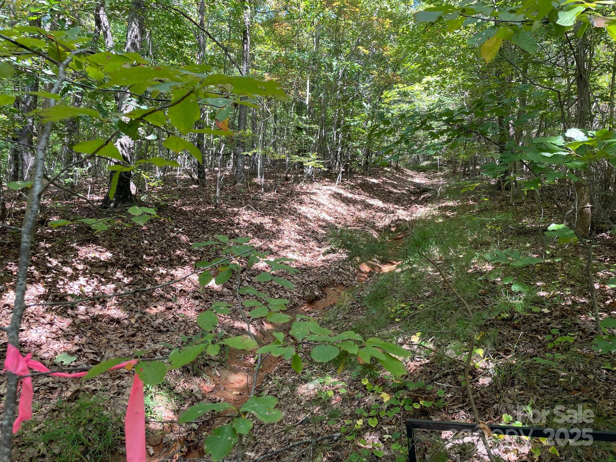 3913 High Peak Terrace Road Morganton, NC 28655 - Photo 4 of 8 a backyard of a house with lots of trees
