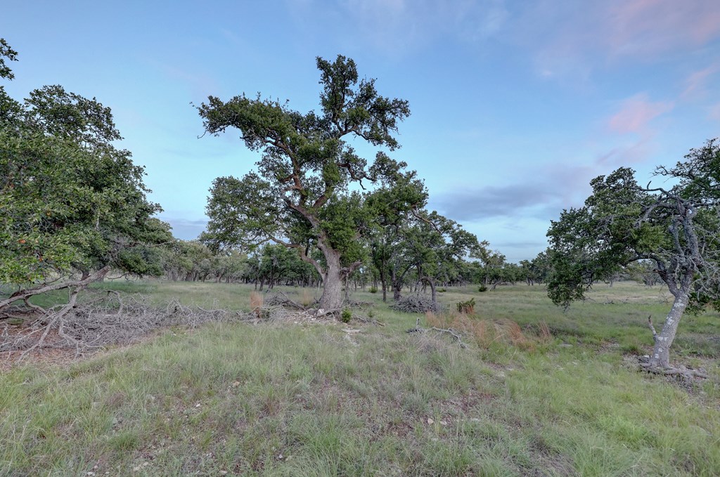 0 Stevens Ranch Road Harper, TX 78631 - Photo 19 of 31 a view of dirt field with large trees