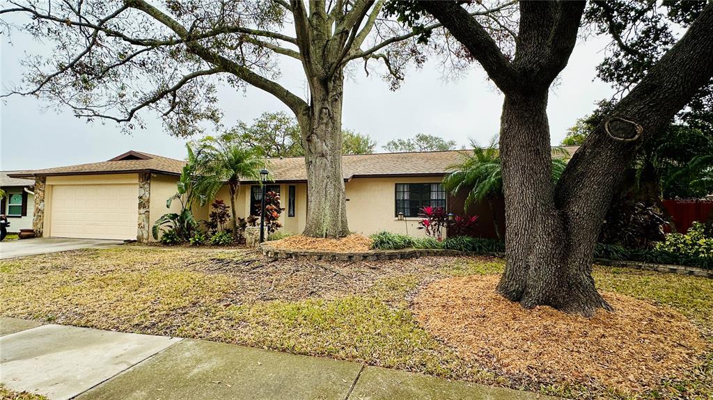 1670 Monterey Drive Clearwater, FL 33756 - Photo 5 of 20