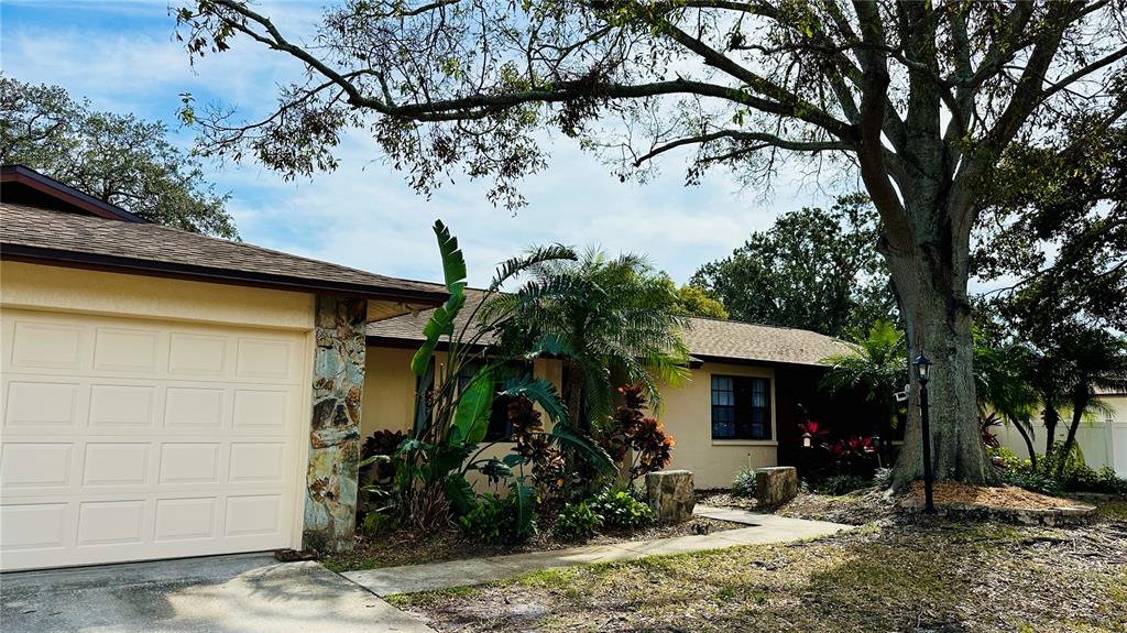 1670 Monterey Drive Clearwater, FL 33756 - Photo 7 of 20