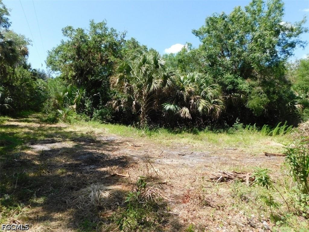 14971 Duke Highway Alva, FL 33920 - Photo 5 of 9 a view of a yard with plants and trees