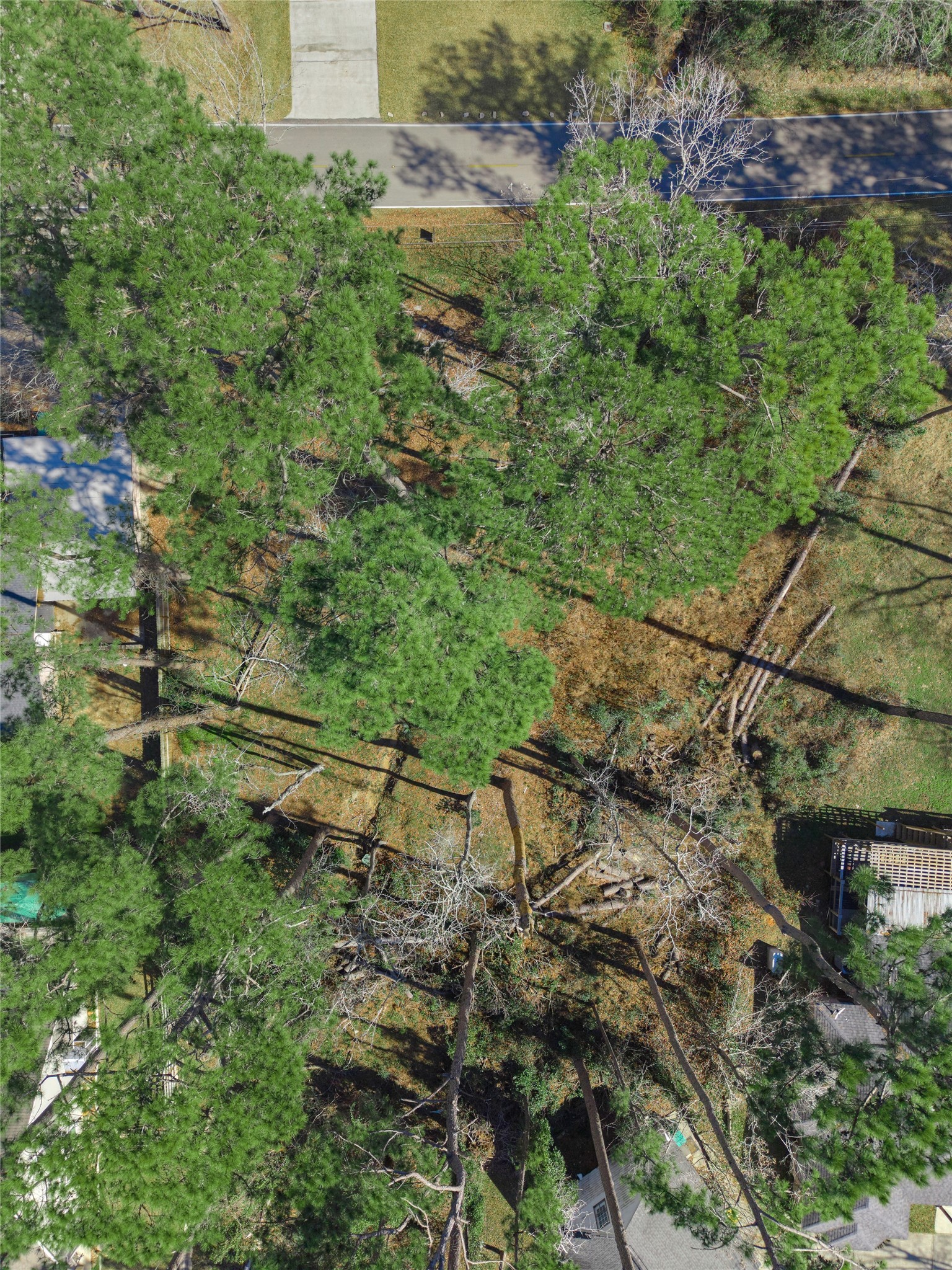 86 Hanover Lane Conroe, TX 77304 - Photo 26 of 40