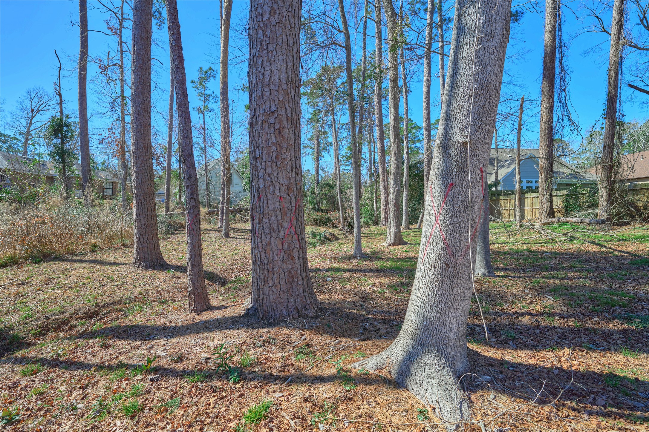 86 Hanover Lane Conroe, TX 77304 - Photo 36 of 40