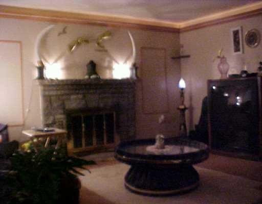 8876 Frankstown Road Pittsburgh, PA 15221 - Photo 4 of 6 Living Room.